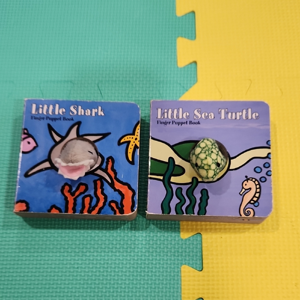 Chronicle Books Blue and Purple Learning Toys